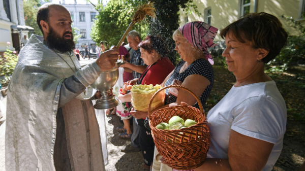 Яблочный Спас 2025: история, традиции и какого числа отмечают праздник Яблочный Спас 2025: история, традиции и какого числа отмечают праздник