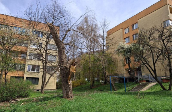 Обзор Samsung Galaxy A26: бюджетного смартфона с искусственным интеллектом Обзор Samsung Galaxy A26: бюджетного смартфона с искусственным интеллектом