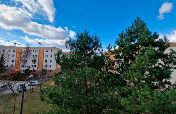 Обзор Samsung Galaxy S22 Plus: мощный Android-смартфон стал более универсальным Обзор Samsung Galaxy S22 Plus: мощный Android-смартфон стал более универсальным