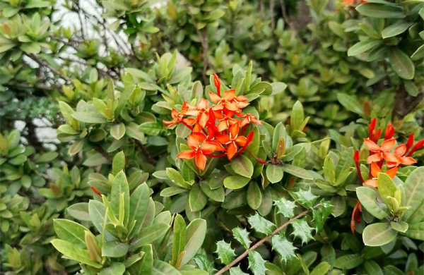 Обзор Meizu Note 21: приятного и очень бюджетного смартфона с огромным дисплеем Обзор Meizu Note 21: приятного и очень бюджетного смартфона с огромным дисплеем