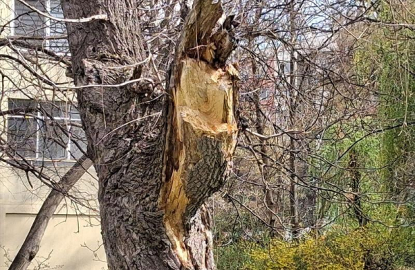 Обзор Samsung Galaxy A26: бюджетного смартфона с искусственным интеллектом Обзор Samsung Galaxy A26: бюджетного смартфона с искусственным интеллектом