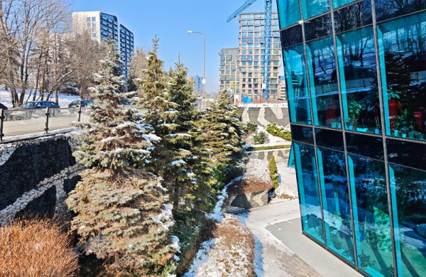 Обзор Xiaomi 15: топового компактного смартфона с невероятной производительностью Обзор Xiaomi 15: топового компактного смартфона с невероятной производительностью