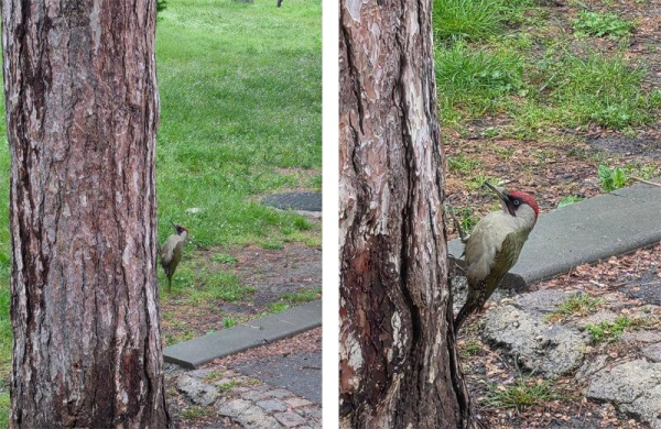 Обзор Samsung Galaxy S25 Edge: ультратонкого флагманского смартфона с проблемами Обзор Samsung Galaxy S25 Edge: ультратонкого флагманского смартфона с проблемами