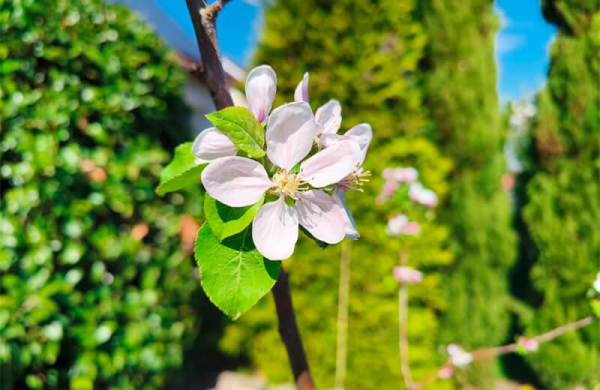 Обзор Ulefone Armor 28 Ultra: флагманского смартфона с непробиваемым корпусом Обзор Ulefone Armor 28 Ultra: флагманского смартфона с непробиваемым корпусом