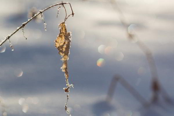 Обзор объективов YongNuo 50 mm F1.8 II и YN50mm F1.4: китайское — не значит худшее Обзор объективов YongNuo 50 mm F1.8 II и YN50mm F1.4: китайское — не значит худшее