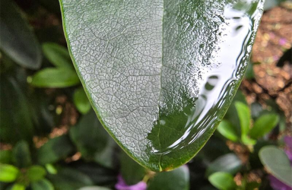 Обзор Samsung Galaxy S25 Edge: ультратонкого флагманского смартфона с проблемами Обзор Samsung Galaxy S25 Edge: ультратонкого флагманского смартфона с проблемами